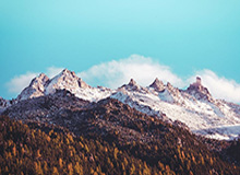 GameStop关闭数百家门店，CEO豪赌350亿美元巨额回报