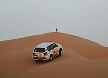 《植物大战僵尸》经典重置版将推出双人模式，操控僵尸进攻好友花园